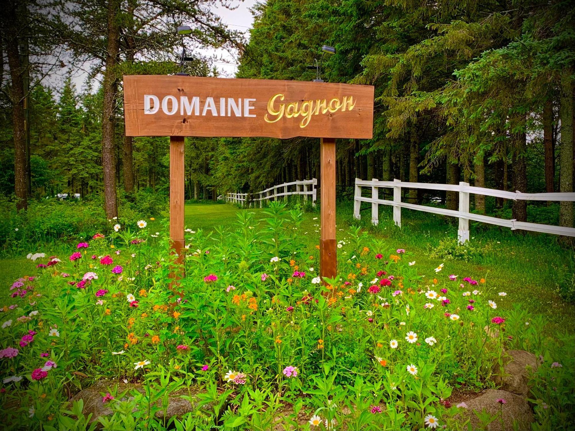 Вилла Domaine Gagnon Saint Sebastien Экстерьер фото