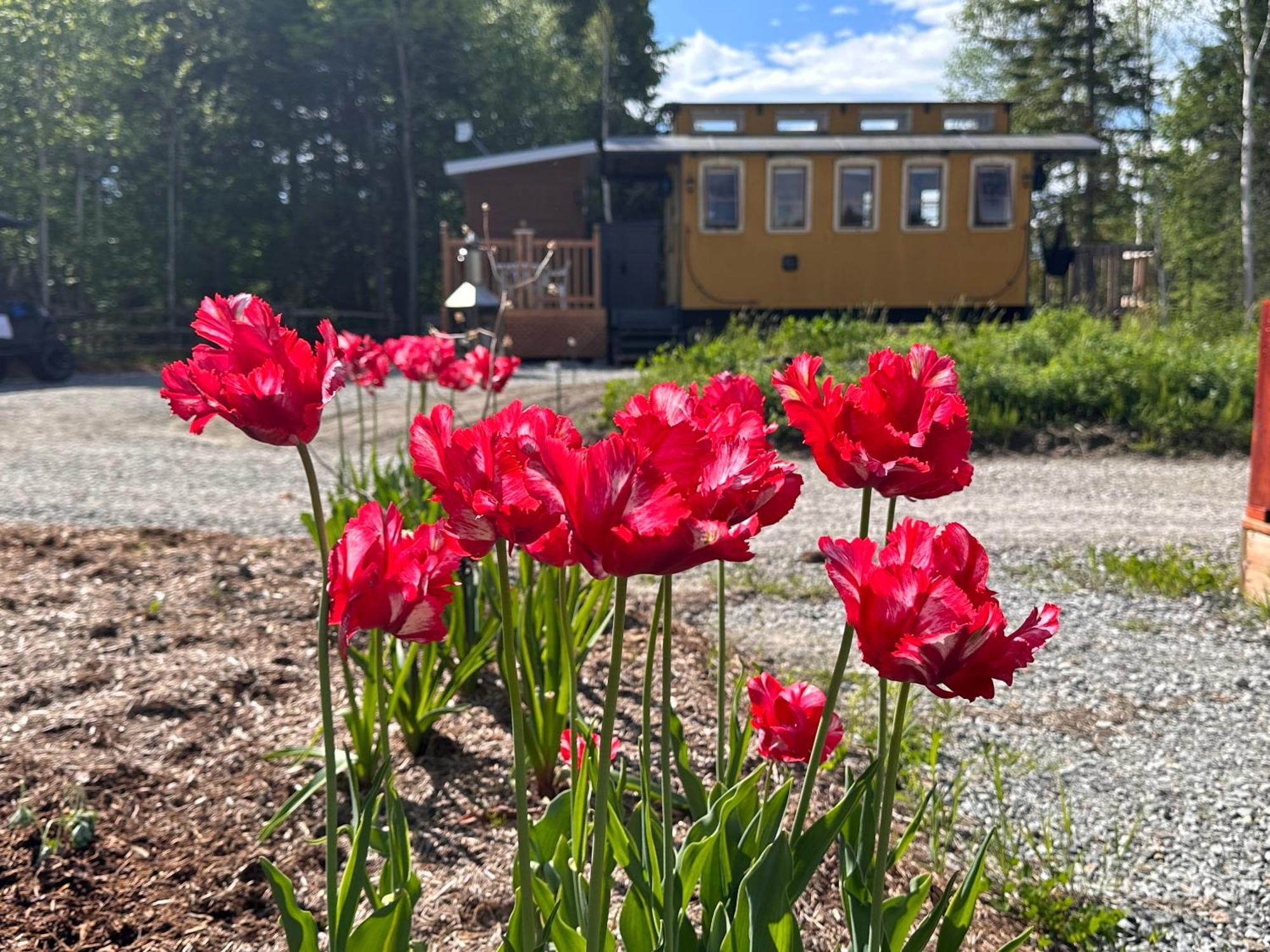 Вилла Domaine Gagnon Saint Sebastien Экстерьер фото