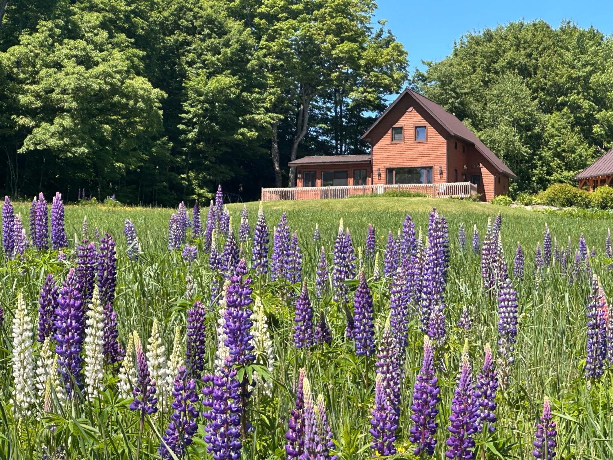 Вилла Domaine Gagnon Saint Sebastien Экстерьер фото