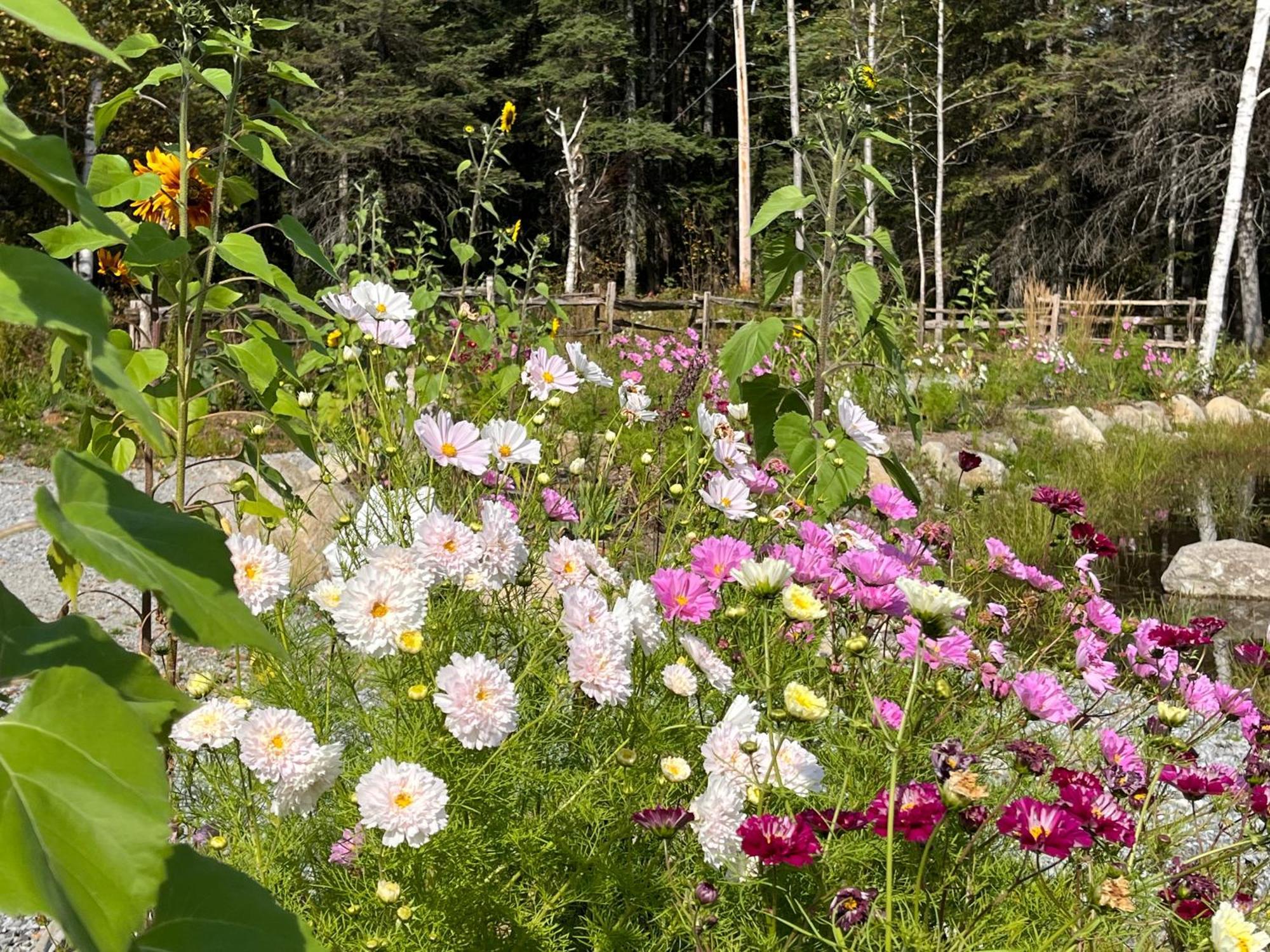 Вилла Domaine Gagnon Saint Sebastien Экстерьер фото